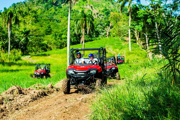 Jungle Buggies + Ziplines Adventures - Photo 1 of 11